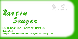 martin senger business card